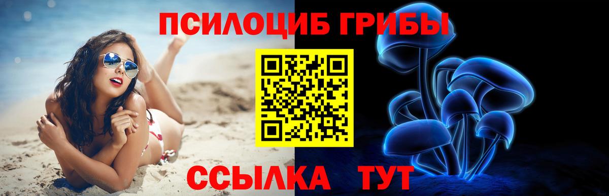 Псилоцибиновые грибы Cubensis Волгоград