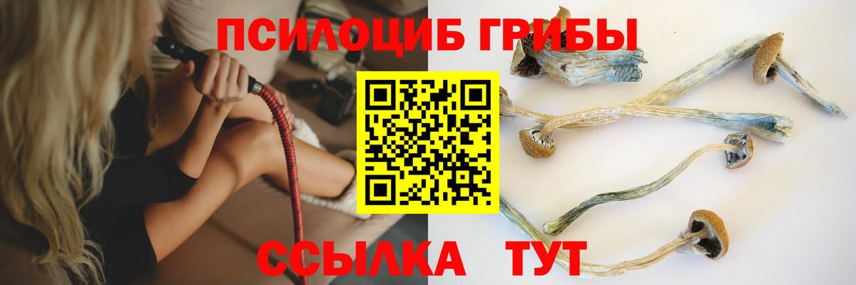 Галлюциногенные грибы Cubensis  Вход с VPN  Волгоград  Псилоцибиновые грибы GOLDEN TEACHER 